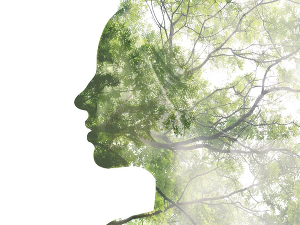 녹색 나무와 함께 하는 여자 로열티 프리 스톡 이미지