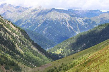 İtalya 'nın Passo dello Stelvio şehrinde çam ormanları ve engebeli dağların altında yemyeşil bir vadinin panoramik manzarası. Seyahat, doğa ve çevresel geçmiş kavramları için ideal