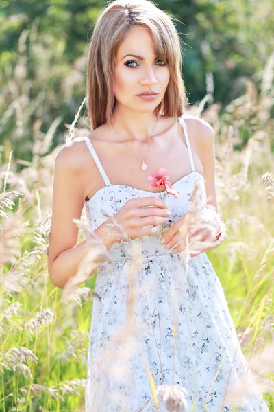 Güzel kız widh kır çiçeği — Stok fotoğraf