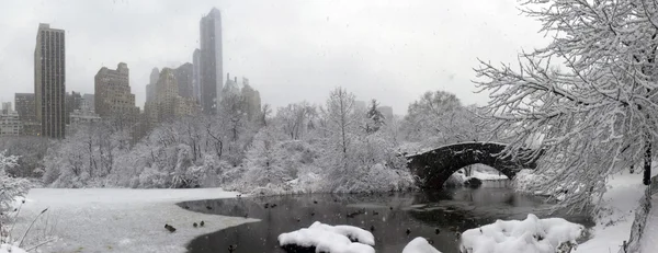 Central Park en invierno — Foto de Stock