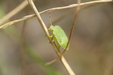 bir plan üzerinde hata