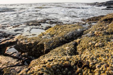 güzel bir dağ manzarası