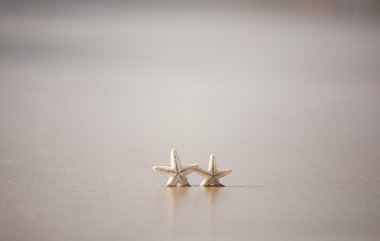 Kumsaldaki deniz yıldızı