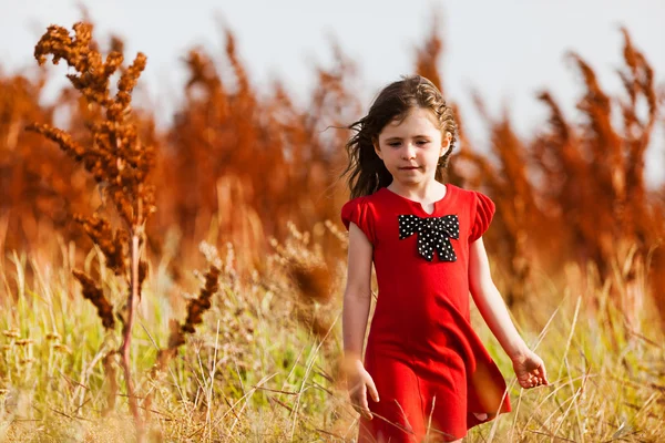 Bambina con un vestito rosso — Foto Stock
