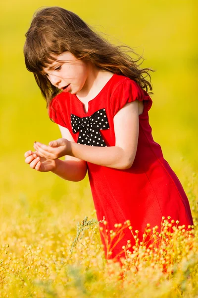 Little girl in a red dress — Stock Photo, Image