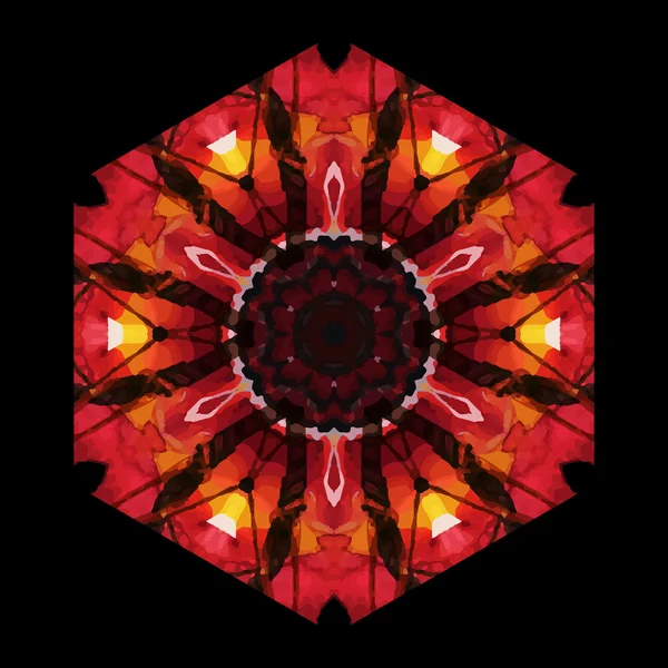Etnické ornament geometrický vzor s květinami a krystaly. — Stockový vektor