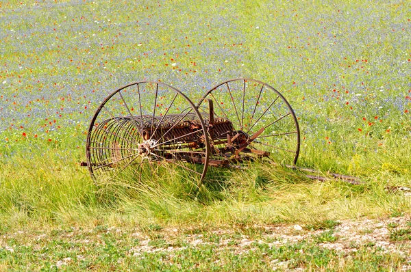 Castelluccio. maaier, landbouw. Umbrië, Italië — Stockfoto