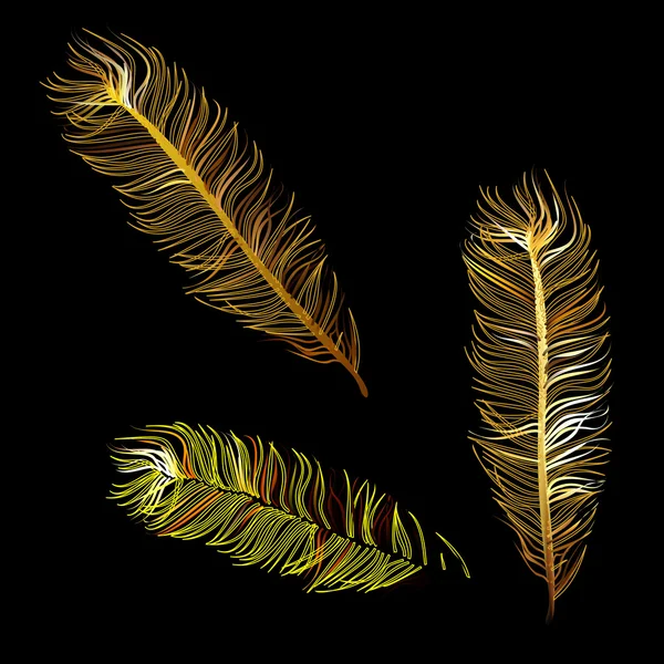 Golden Fabulosa pluma de pájaro mágico — Vector de stock