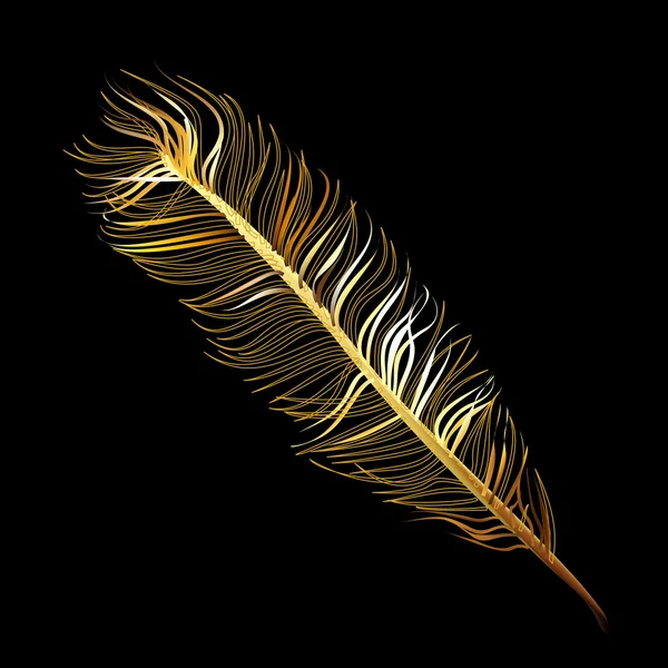 Golden Fabulosa pluma de pájaro mágico — Vector de stock