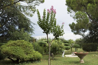 Banliyö çiçekli bahçe yolları Çin tarzı ile.