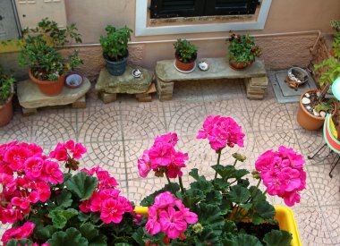 Tencere çeşitli çiçekler ev. Tasarım İtalyan avlusu