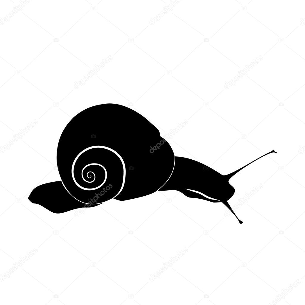 Abstract illustration, black and white silhouette of snail. The snail on slope. White background.