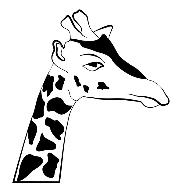 Abstrakte Illustration, schwarz-weiße Silhouette der Giraffe. — Stockvektor