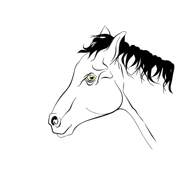 Elegante cavalo silhueta preto e branco com olhos verdes realistas . — Vetor de Stock