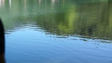 Güzel manzaralarını orman göl yansıması ile. Balıkçı bir olta ile.