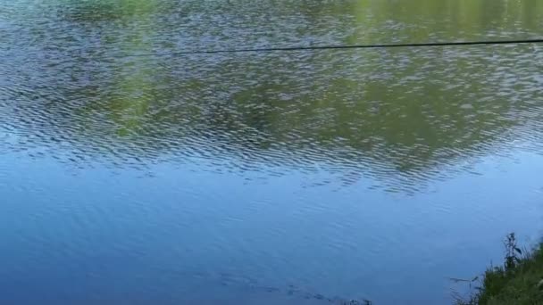 Beautiful views of forest lake with reflection. Fisherman with a fishing rod. — Stock Video