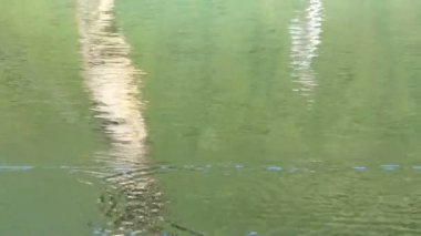 Gölü yaz aylarında doğal bir kadeh. Bulanık doğa odaklanmamış arka plan.