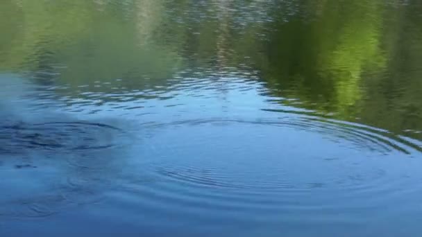 湖风景在夏天的镜头。模糊性质不专心的背景. — 图库视频影像