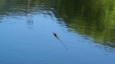 Gölü yaz aylarında doğal bir kadeh. Bulanık doğa odaklanmamış arka plan.