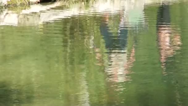 Tournage du lac pittoresque en été. Nature floue fond flou .