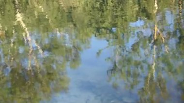 Gölü yaz aylarında doğal bir kadeh. Bulanık doğa odaklanmamış arka plan.