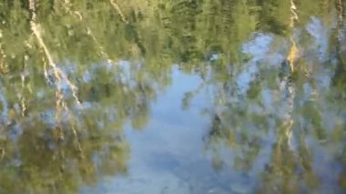 Gölü yaz aylarında doğal bir kadeh. Bulanık doğa odaklanmamış arka plan.