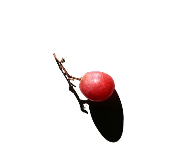 Bacche mature brillanti di uva rossa — Foto Stock