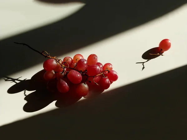 Bacche mature brillanti di uva rossa — Foto Stock