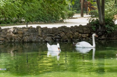 Endülüs 'ün başkenti Maria Luisa Park' ta renkli heykel, İspanya 'da Sevilla