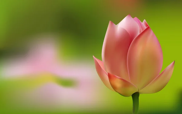 Délicate tulipe rose sur fond vert — Image vectorielle