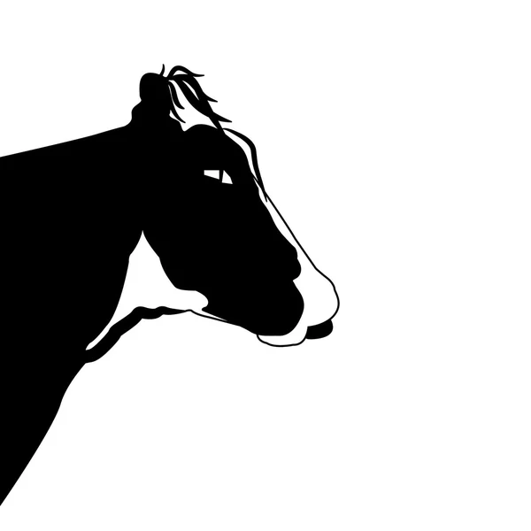 Testa ritratto di mucca nera su sfondo bianco — Vettoriale Stock