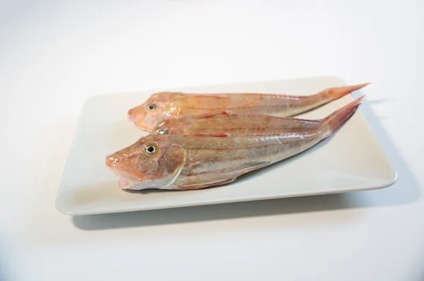 Свіжа риба з червоними лусками — стокове фото