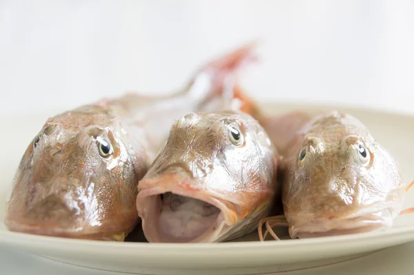 Свіжа риба з червоними лусками — стокове фото