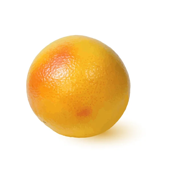 Reife goldene appetitliche Grapefruit. — Stockvektor