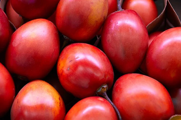 Yeni Zelanda yaprak dökmeyen ağaç meyve sebze, Tamarillo