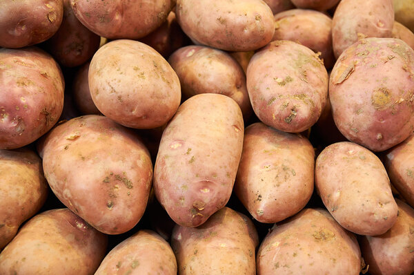 pink potatoes closeup on market