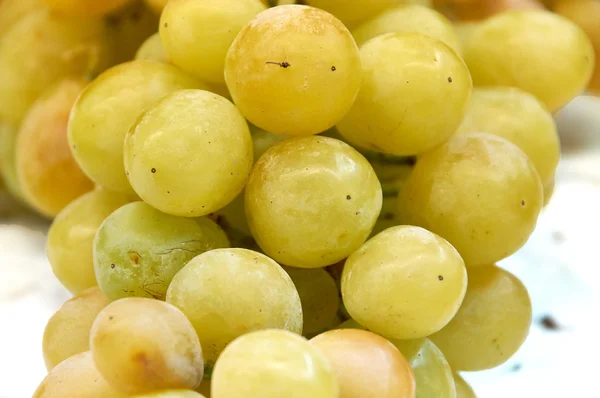 Yellow green large bunch of grapes — Stock Photo, Image