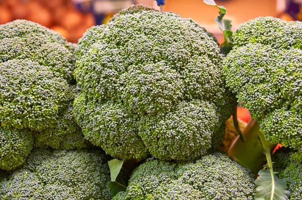 Färsk grön broccoli på marknadsstånd — Stockfoto