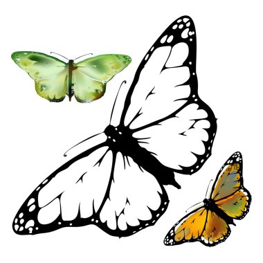 Monarch kelebek açık kanatlarla ayarla