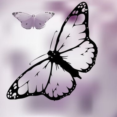 Monarch kelebek açık kanatlarla ayarla