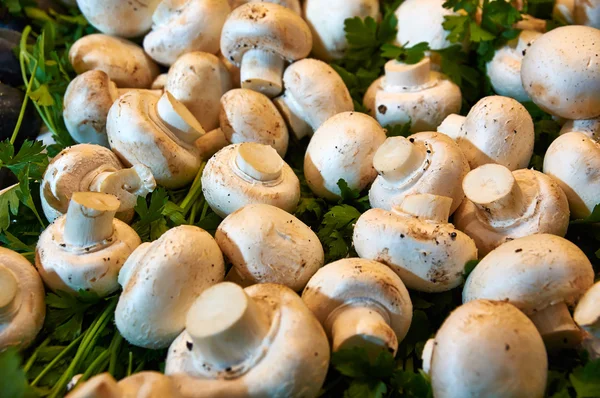Очищені гриби серед зелені — стокове фото