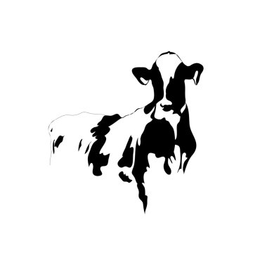 Abstraknie siyah ve beyaz resim inek