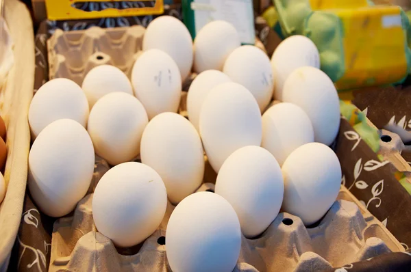 Goose white eggs in the boxes — Stock Photo, Image