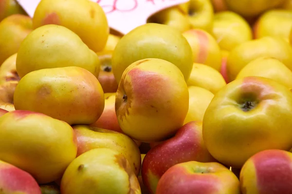 Manzana roja madura grande con mango —  Fotos de Stock