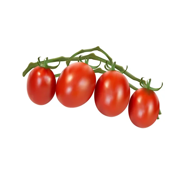 Beyaz kırmızı olgun domates yeşil hat üzerinde kapatın