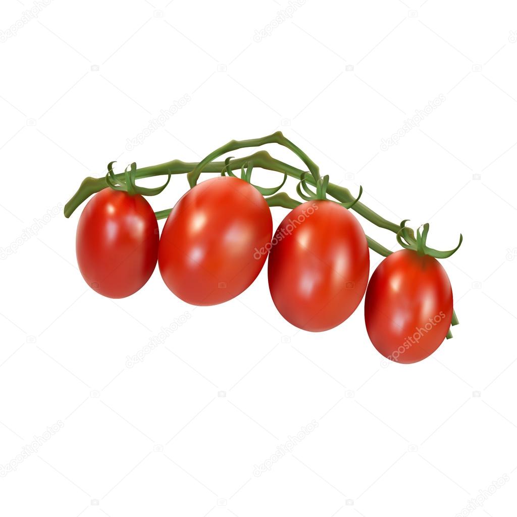 Red ripe tomatoes on green line close up white