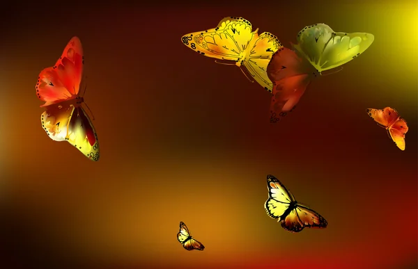 Állítsa be a Monarch Butterfly nyitott szárnyakkal — Stock Vector