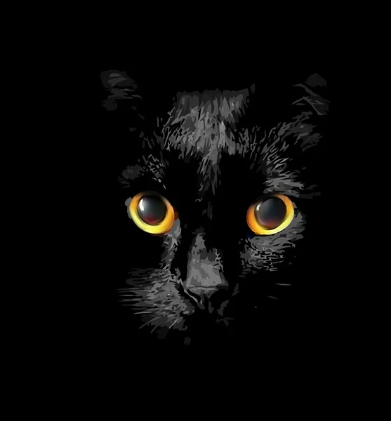 parlayan altın gözlü siyah kedi başkanı