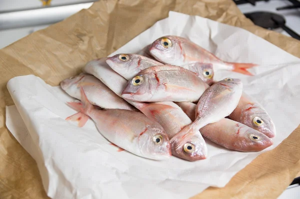 Pescado fresco con escamas rojas — Foto de Stock