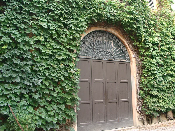 Old house entwined with climbing plants — Stock Photo, Image